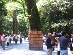 伊勢神宮