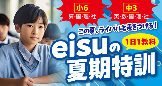 ��eisu�Ċ��u�K�̏ڍׂ̓R�`����